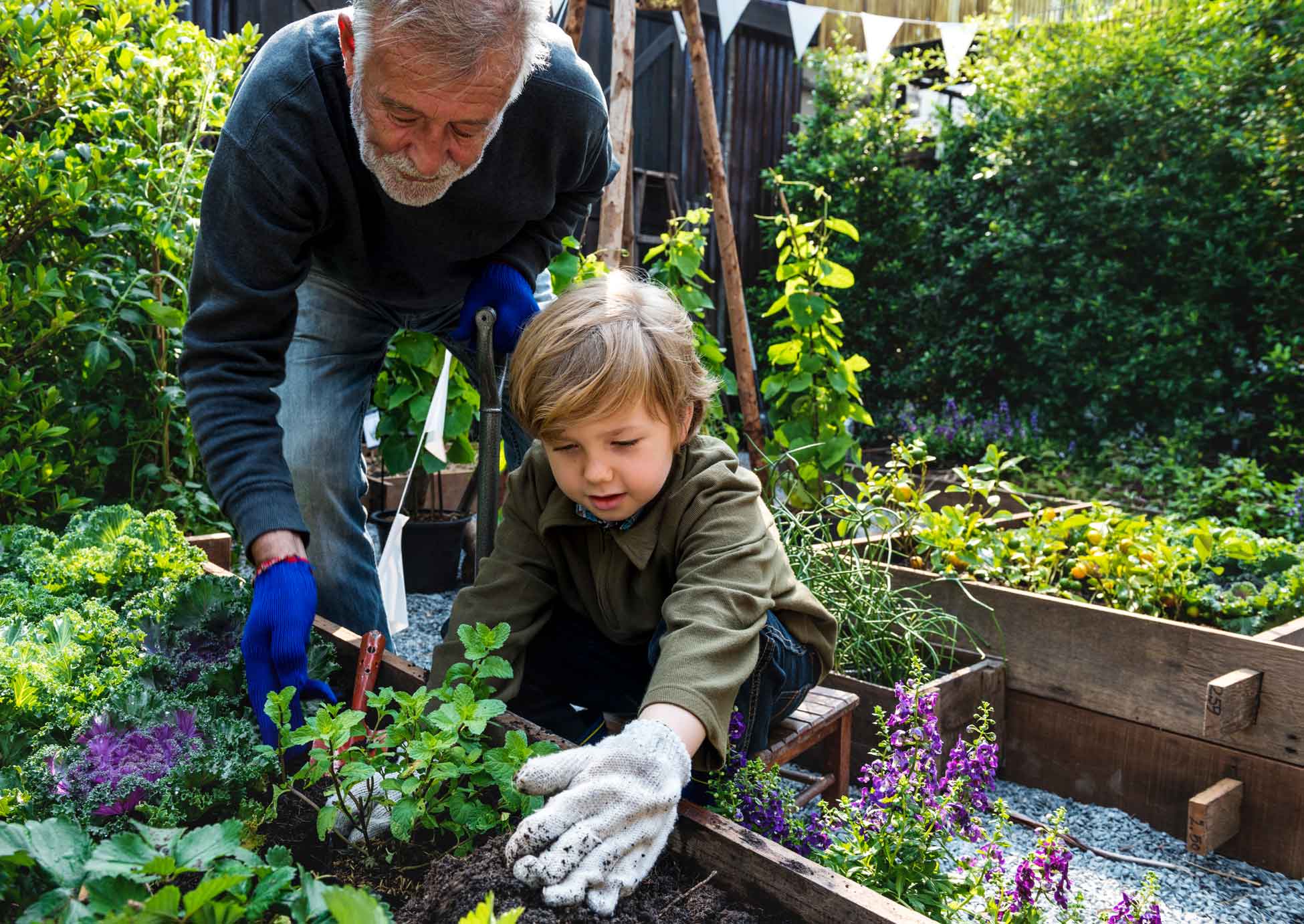 Förderung von Bildung, Natur und Generationsprojekten in Sachsen