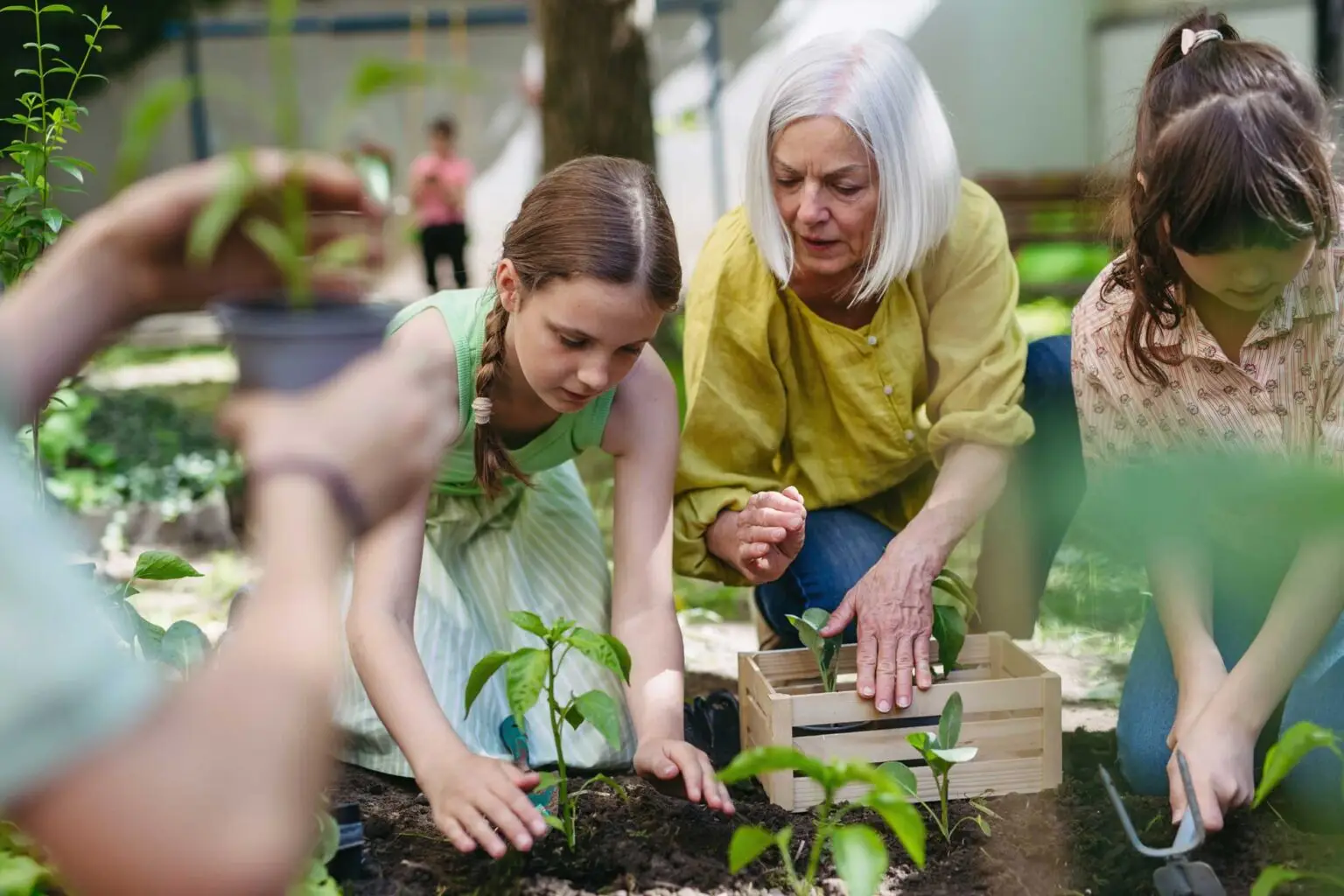 Förderung von Bildung, Natur und Generationsprojekten in Sachsen